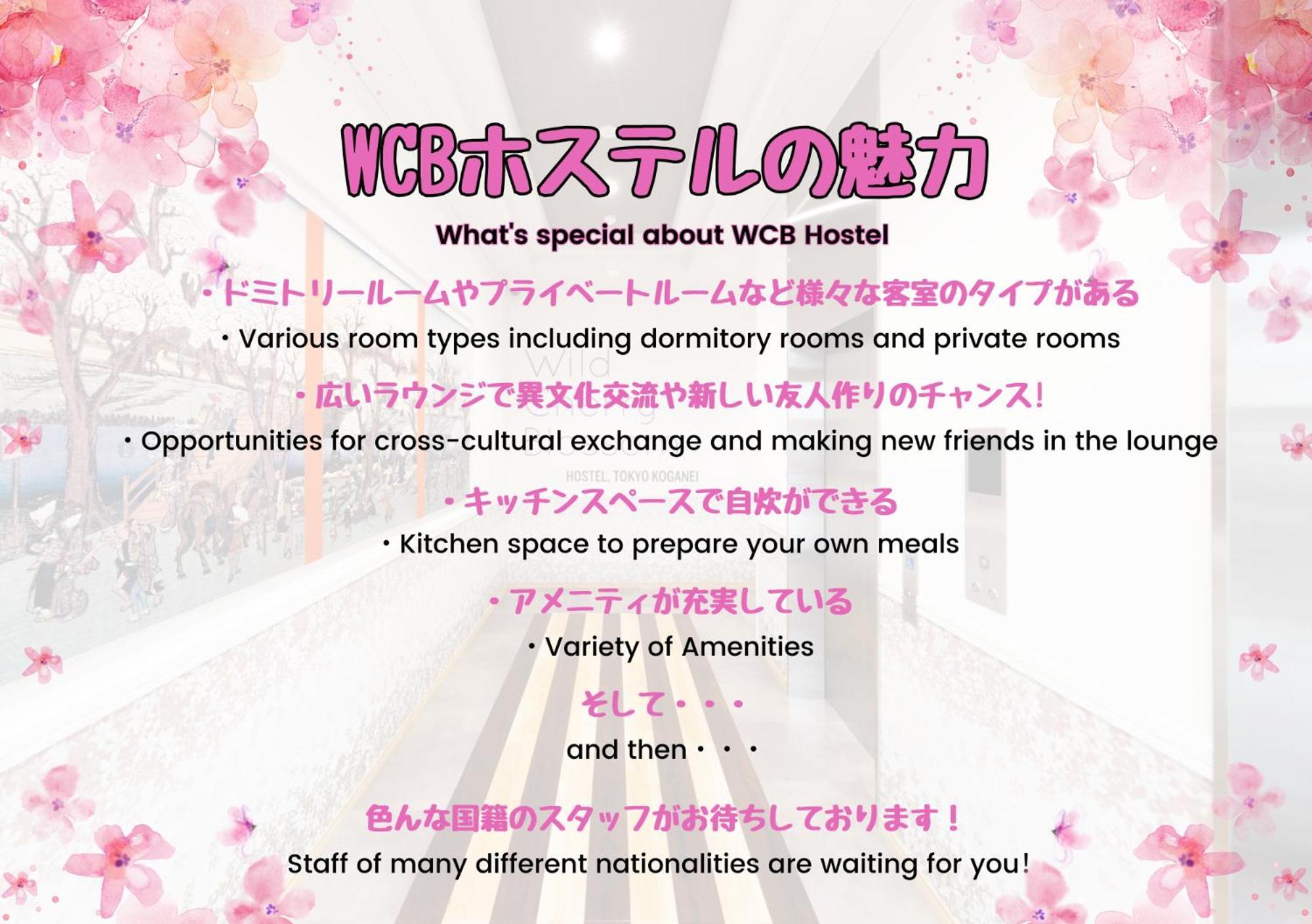 Wild Cherry Blossom-Hostel,Tokyo Koganei- المظهر الخارجي الصورة